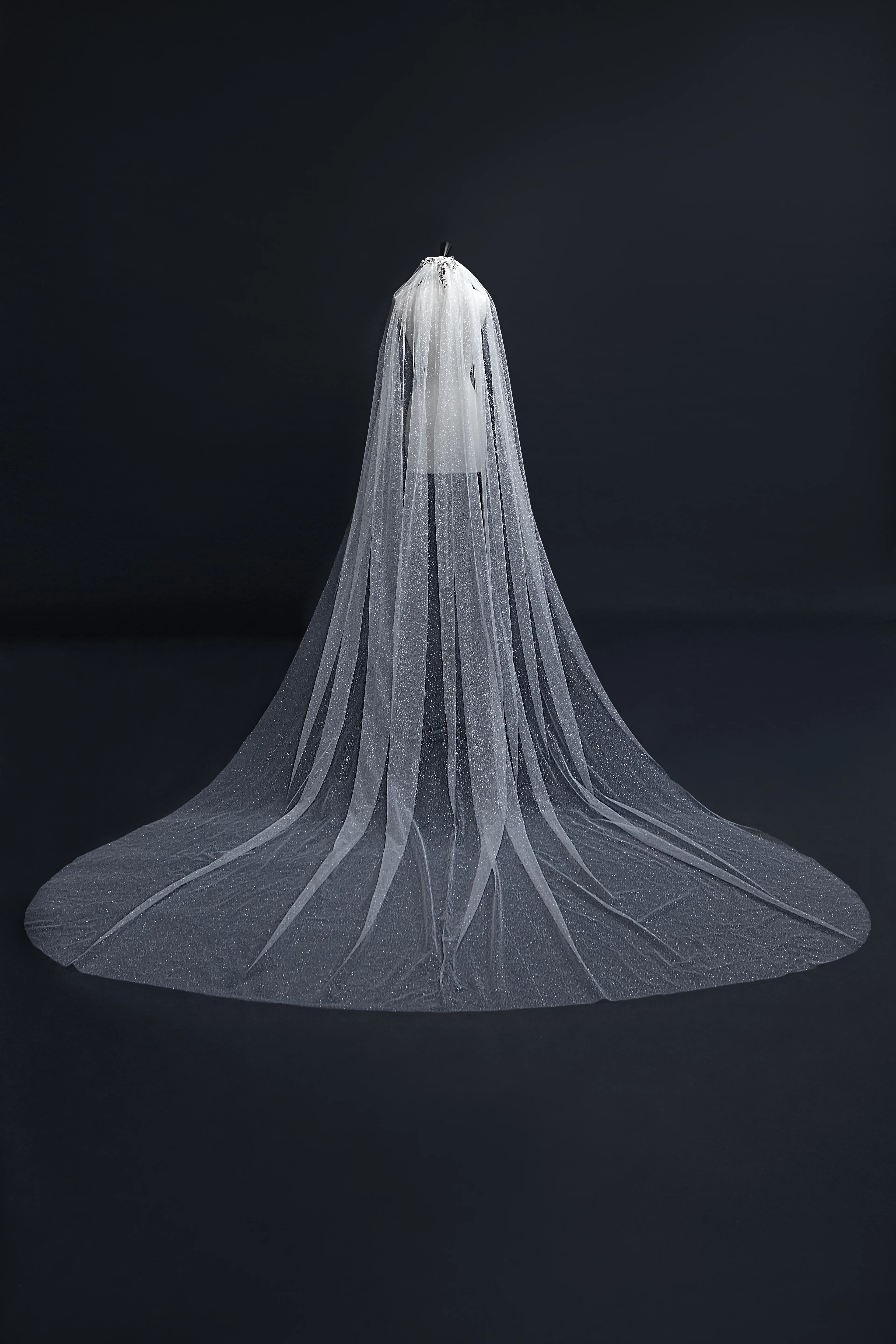 Aelin Veil