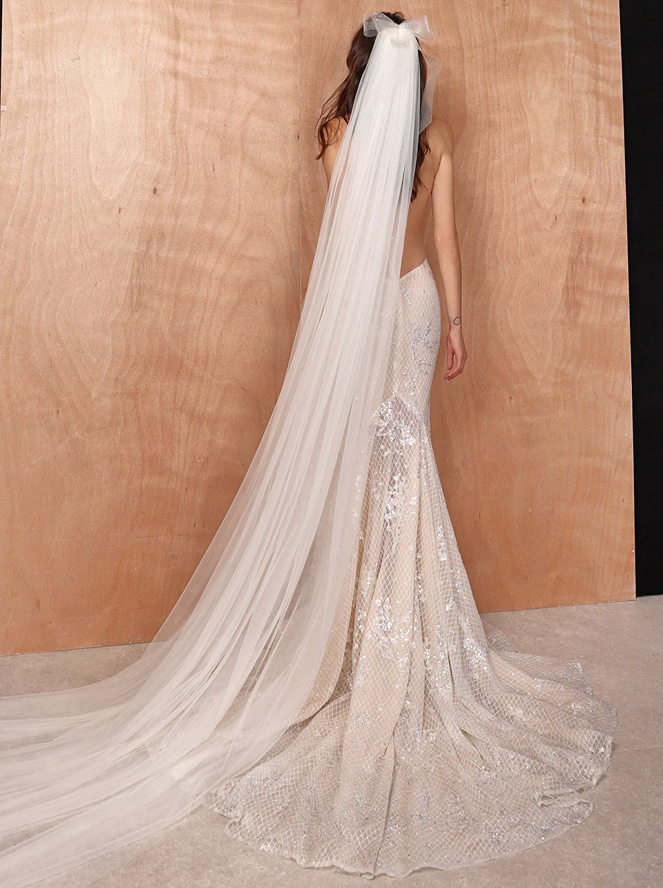 Ari Veil