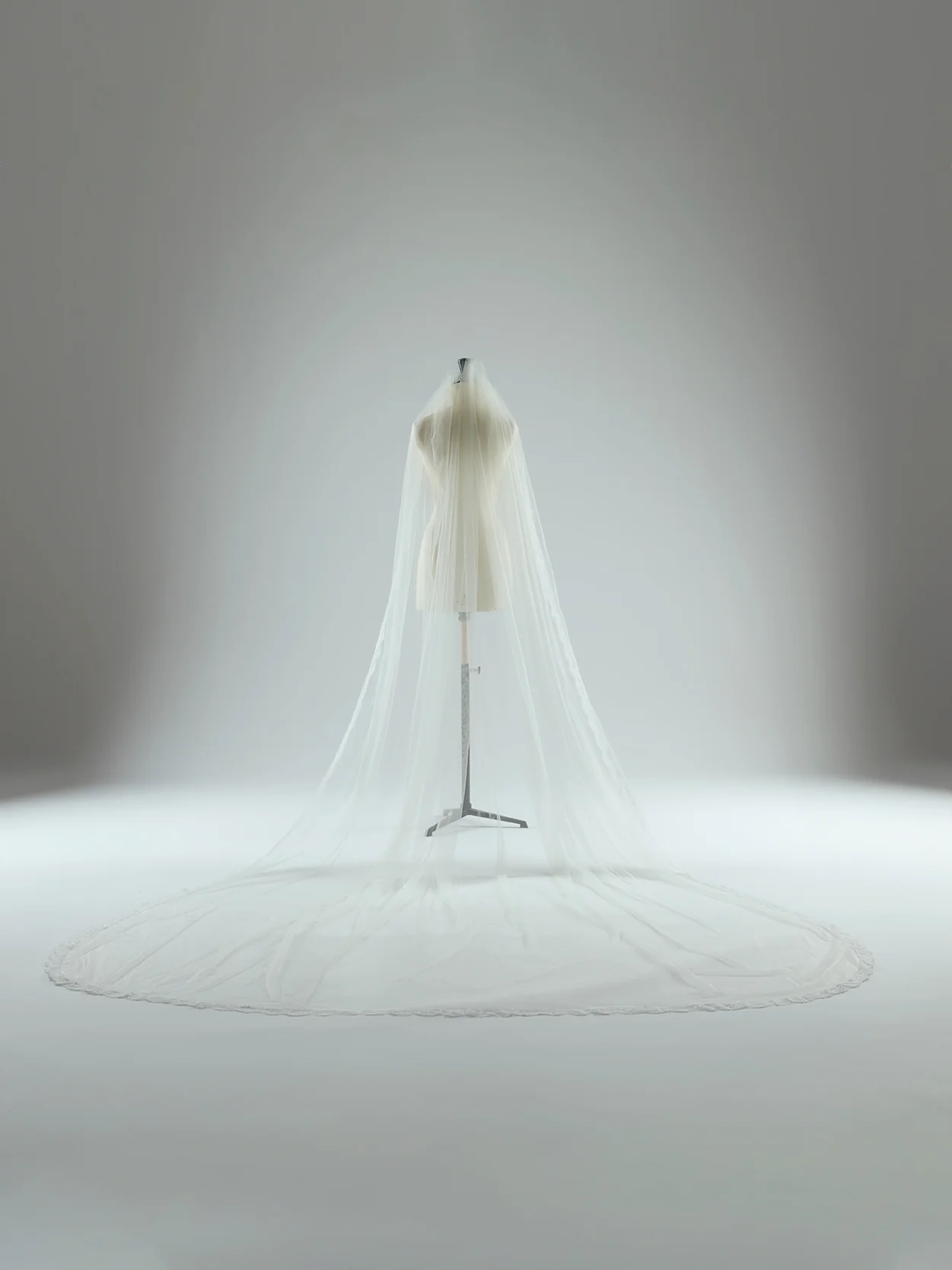 Baroness Veil
