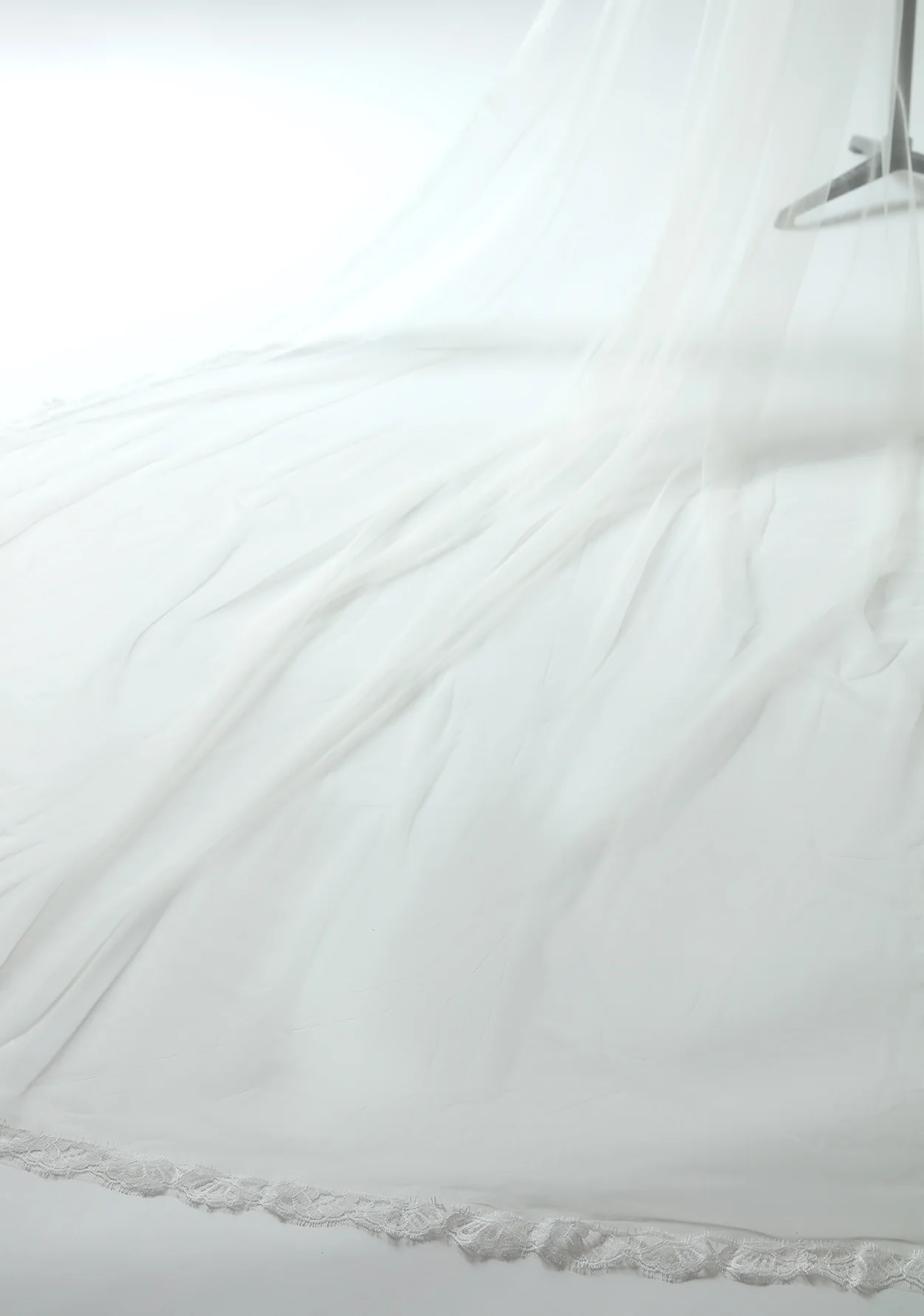 Baroness Veil - Image 2