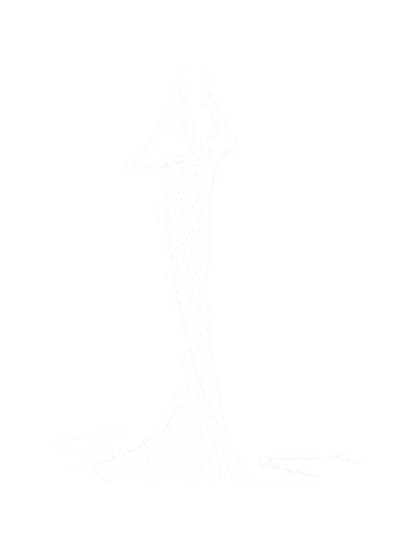 Bella - Image 2
