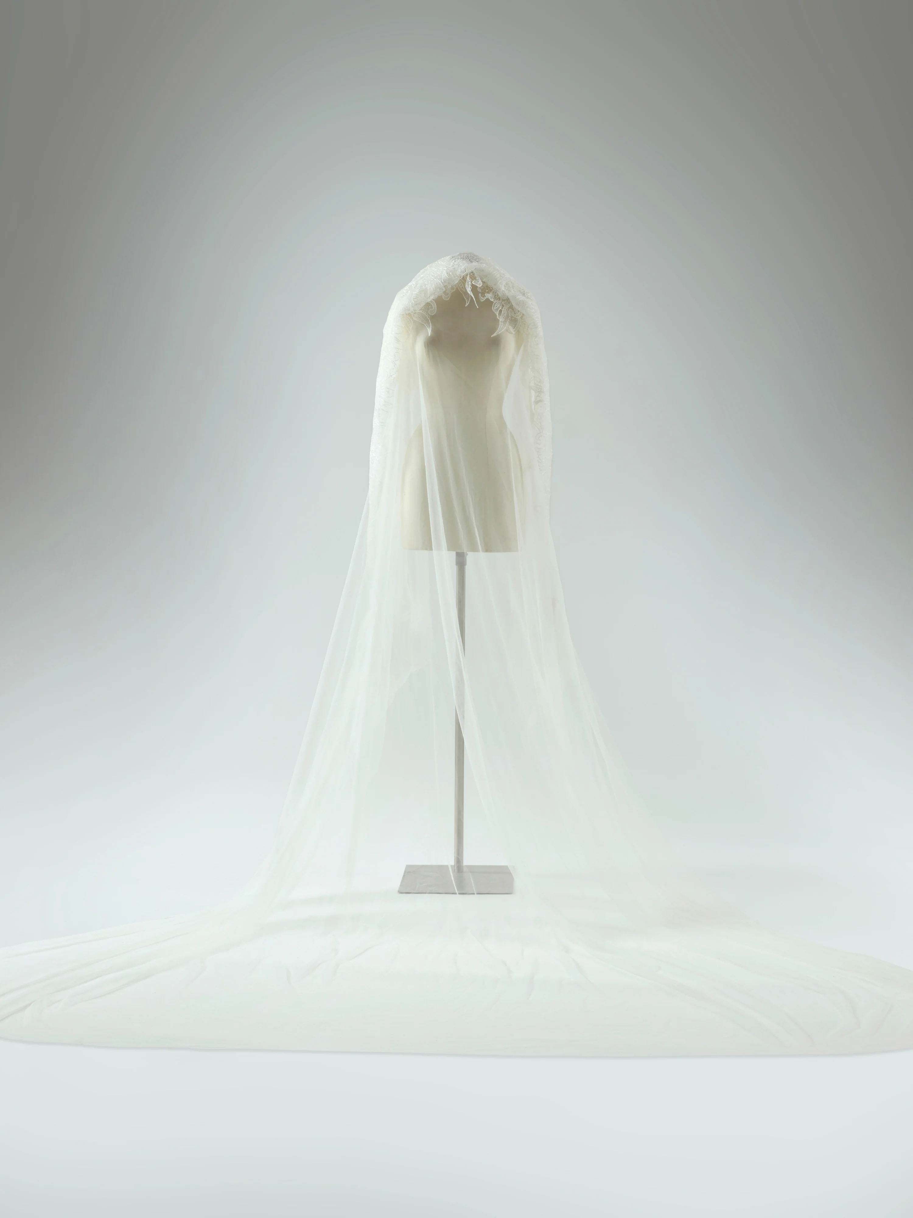 Belladonna Veil - Image 2