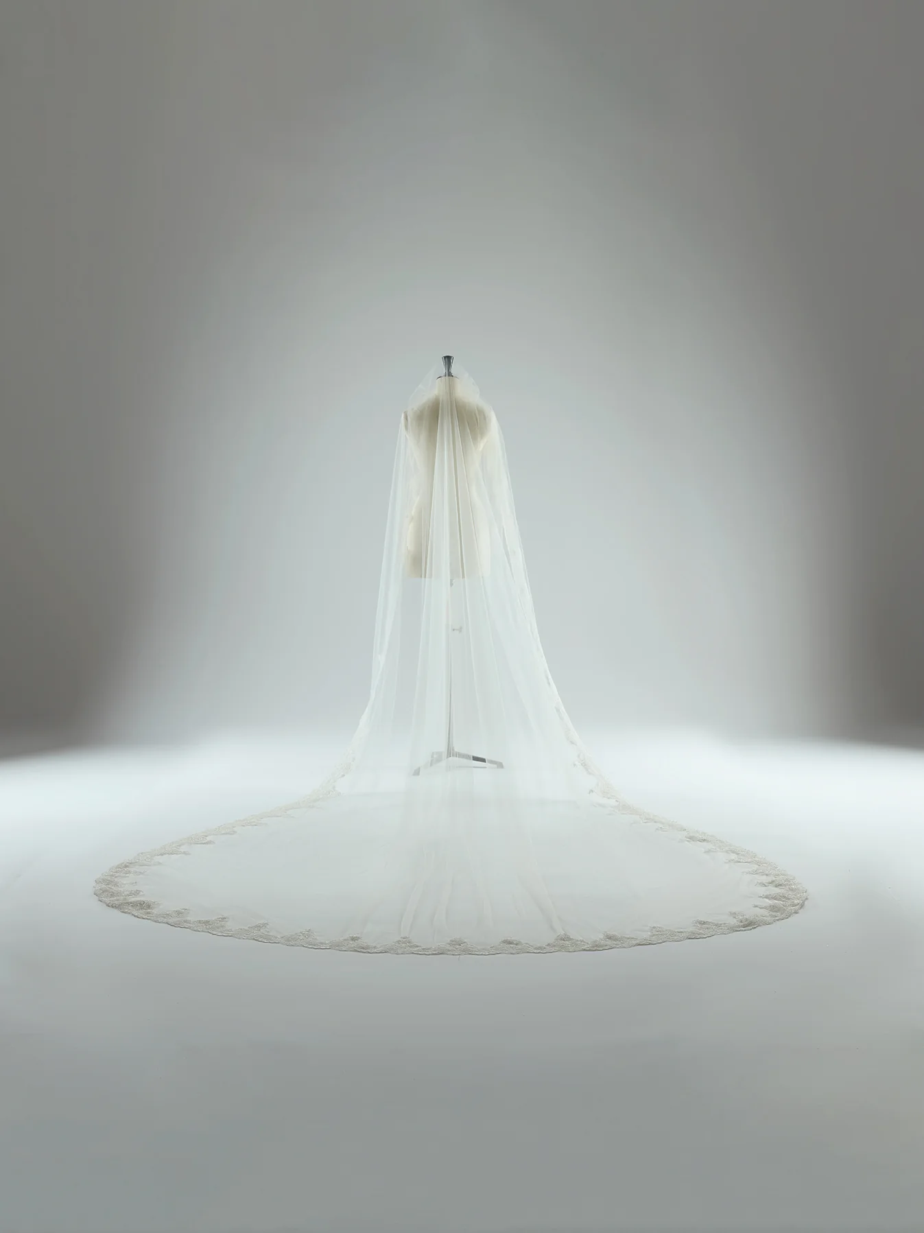 Contessa Veil