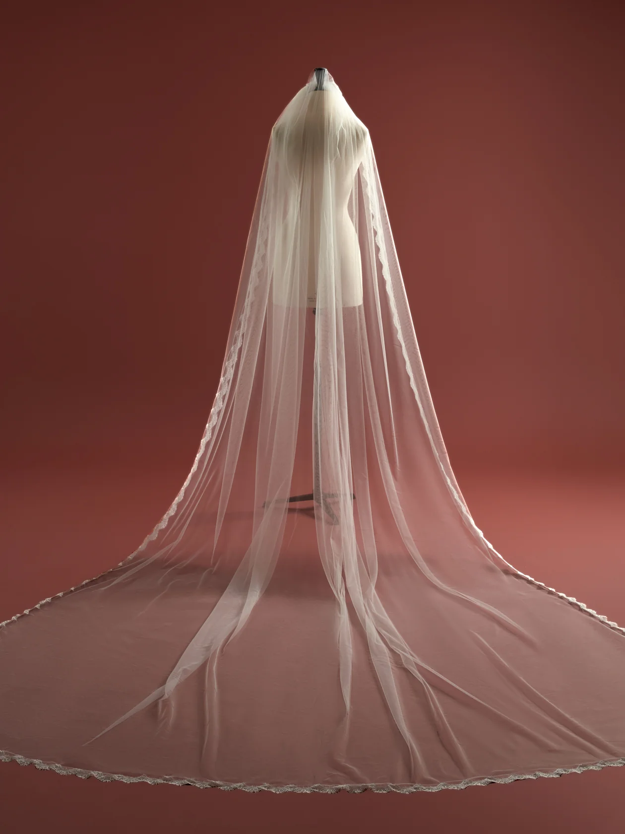 Finesse Veil