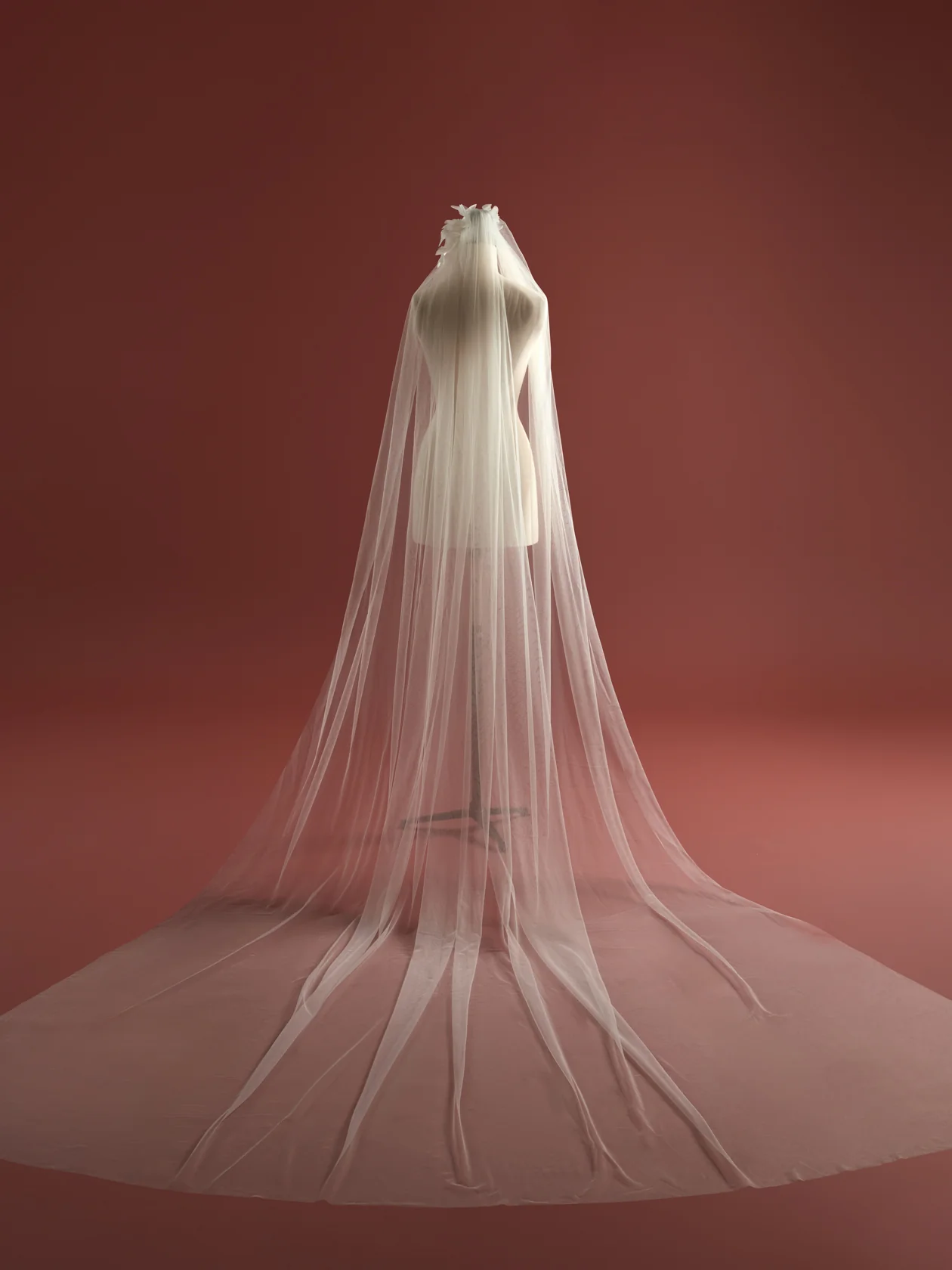 Horizon Veil