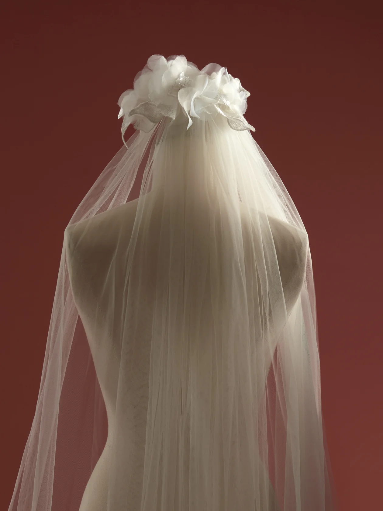 Horizon Veil - Image 2