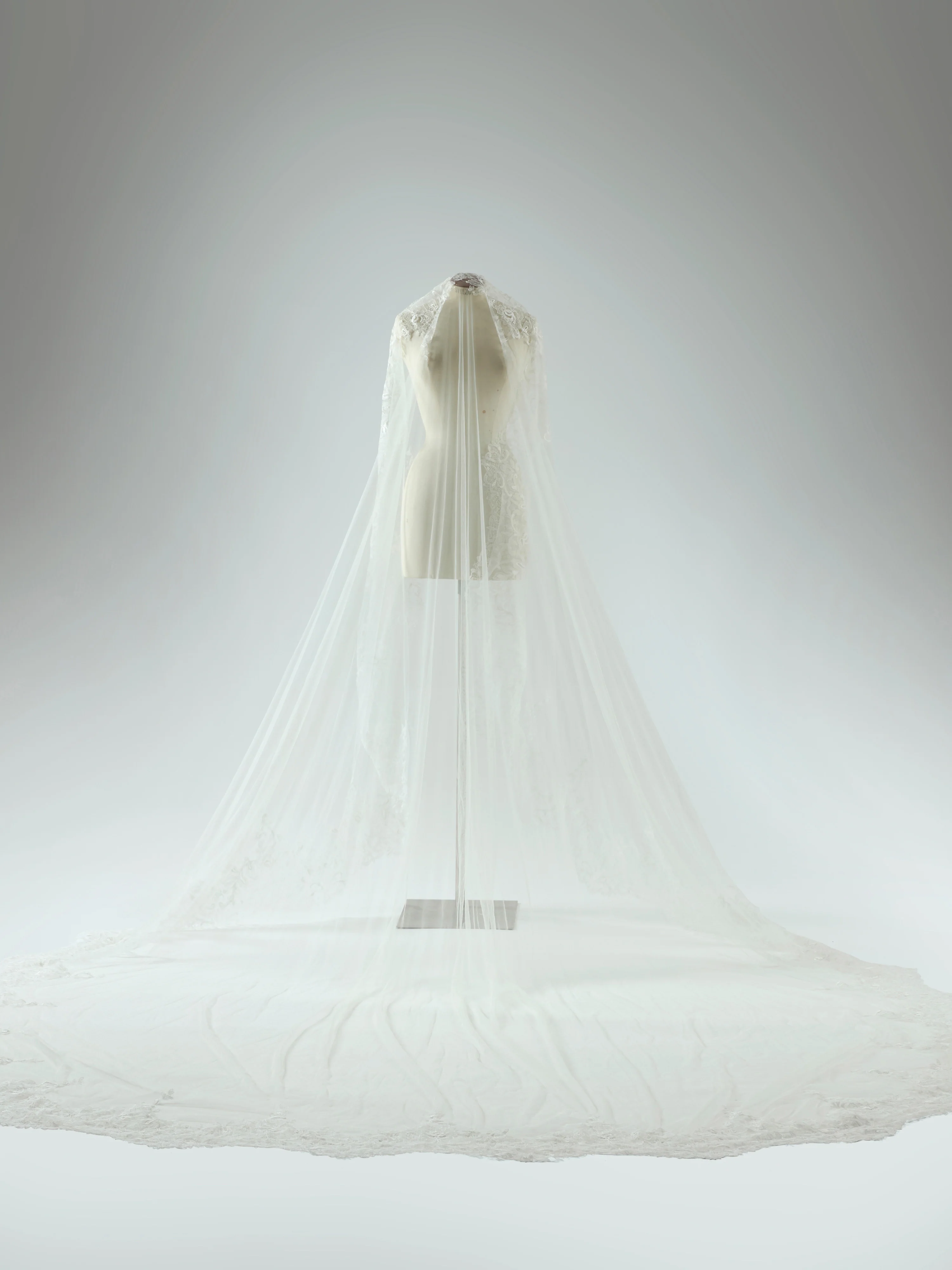 Martini Veil