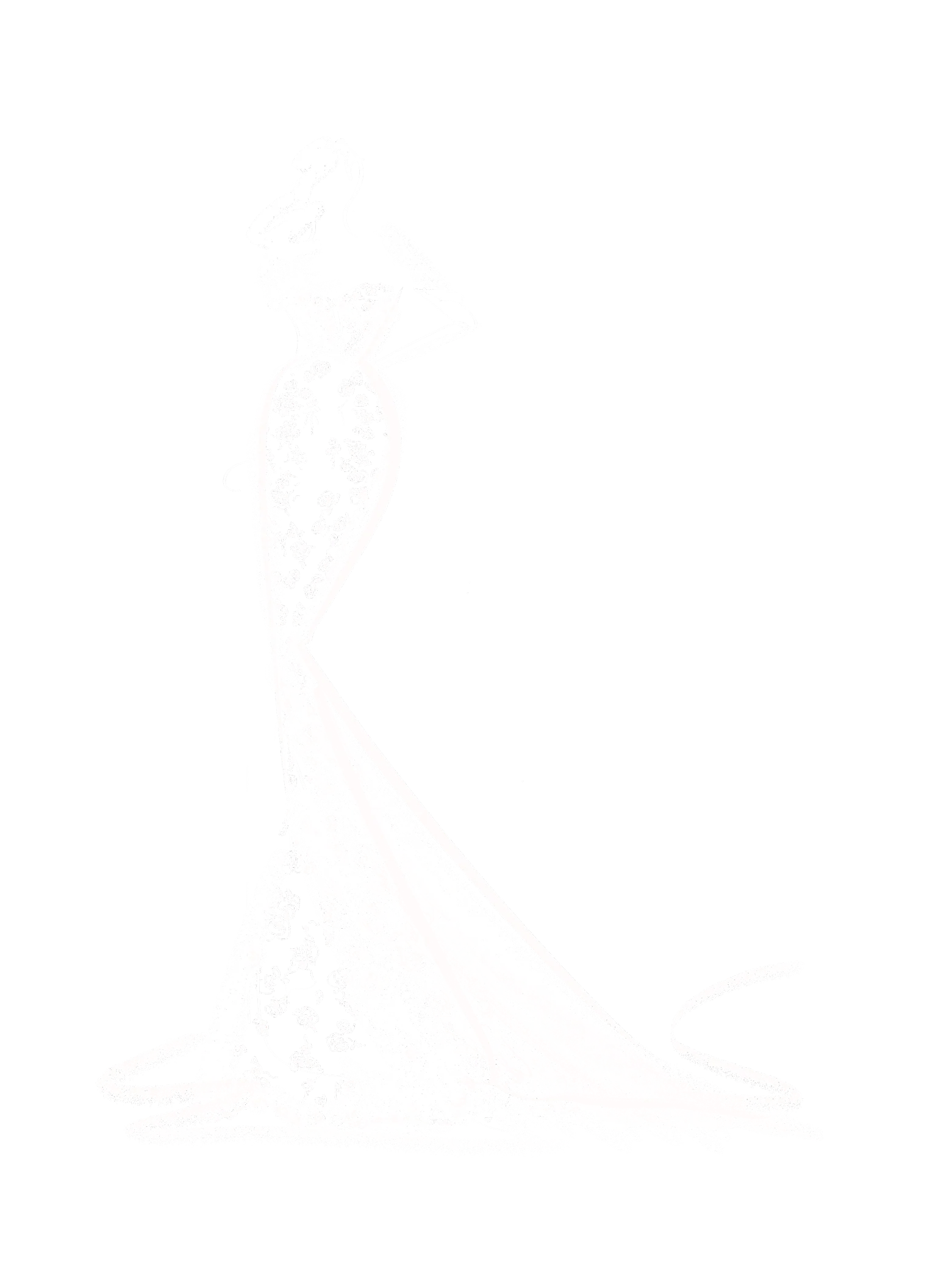 Maya - Image 2