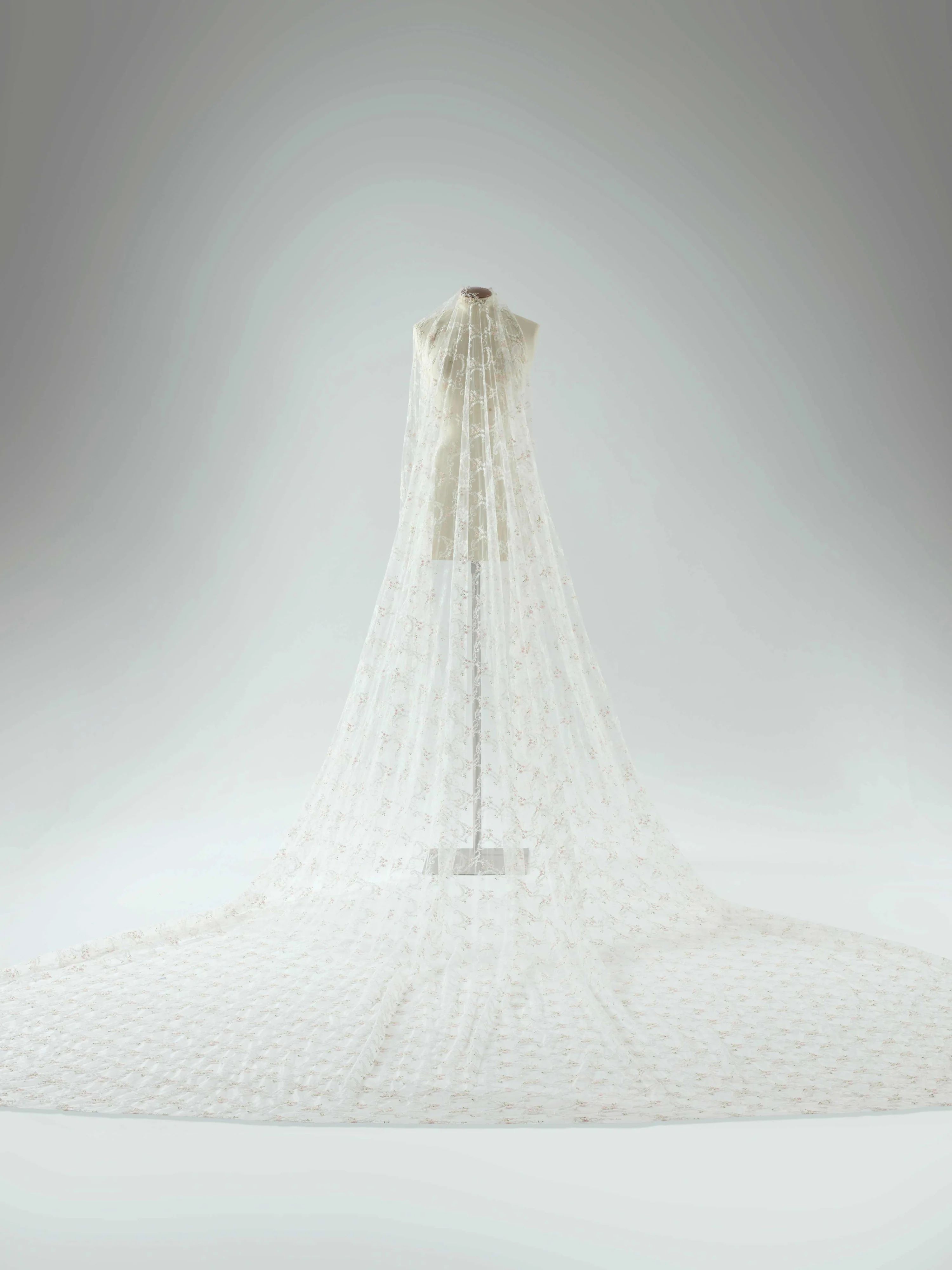 Midnight Veil