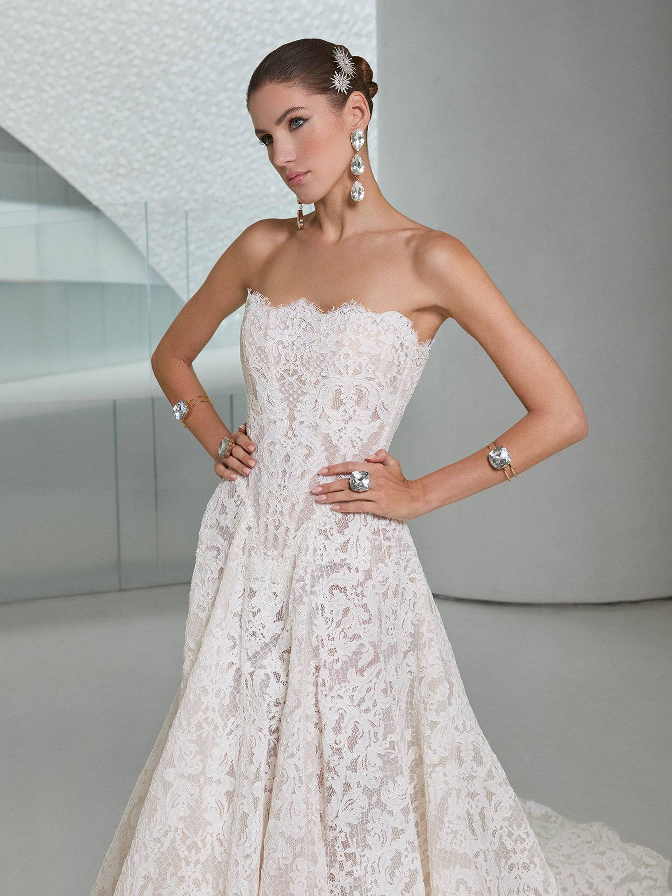 Splendid - Image 3